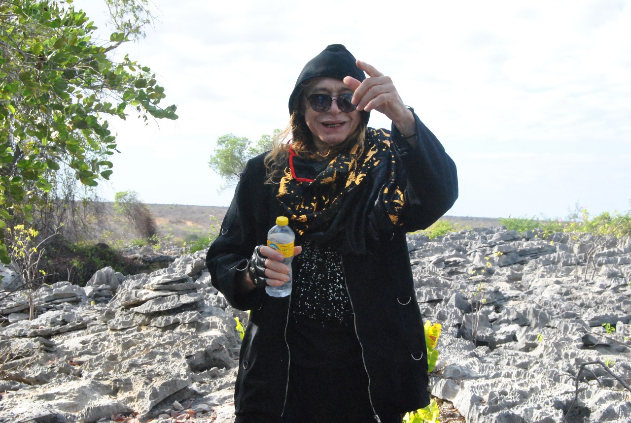 Lua com Mel tem rock na praia com cinco bandas neste sábado - Bolsa de Discos